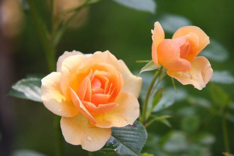 blog-6