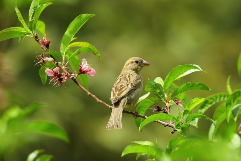 blog-8