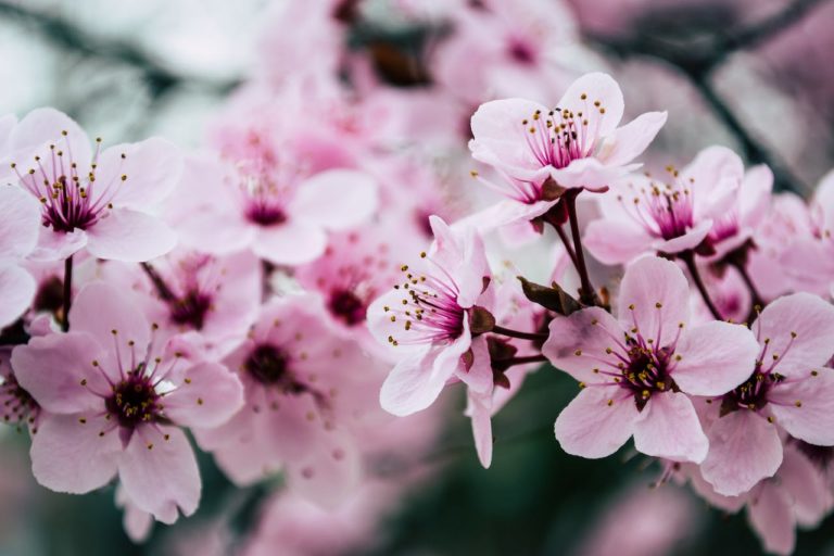 blog-9